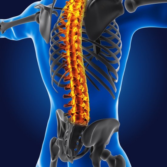 Spine Surgery